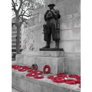 We Remember.Honouring our Veterans