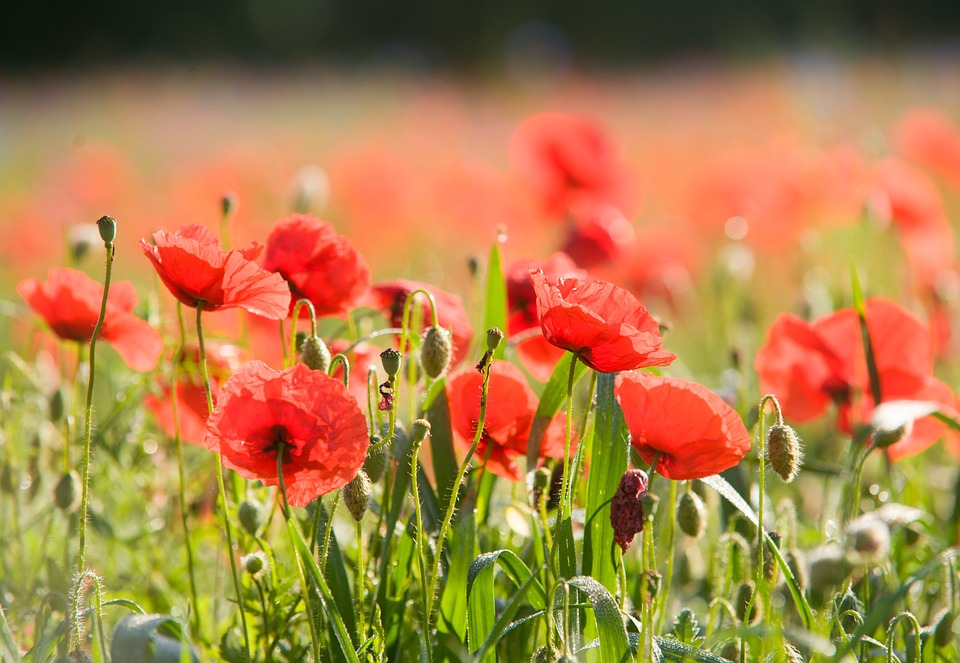 We Remember&nbsp;